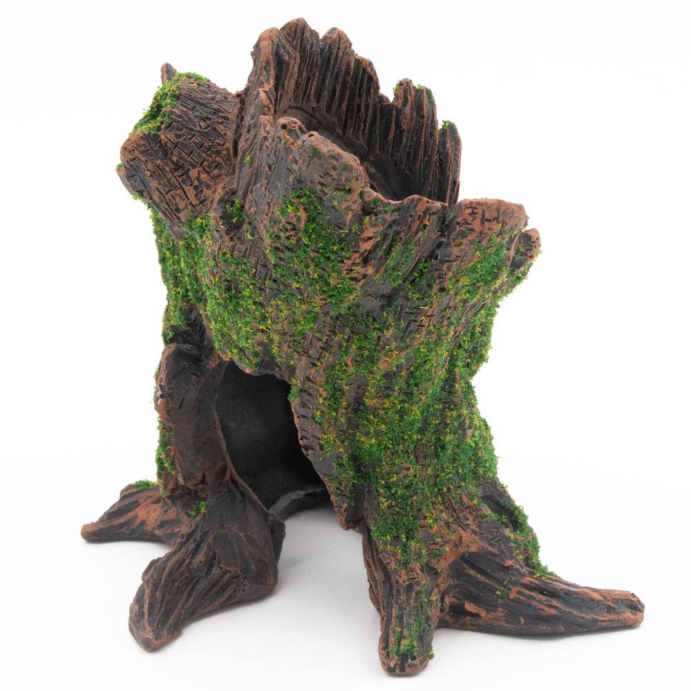 AQUA KT forest tank rock creates landscape depth without obstructing swimmers.