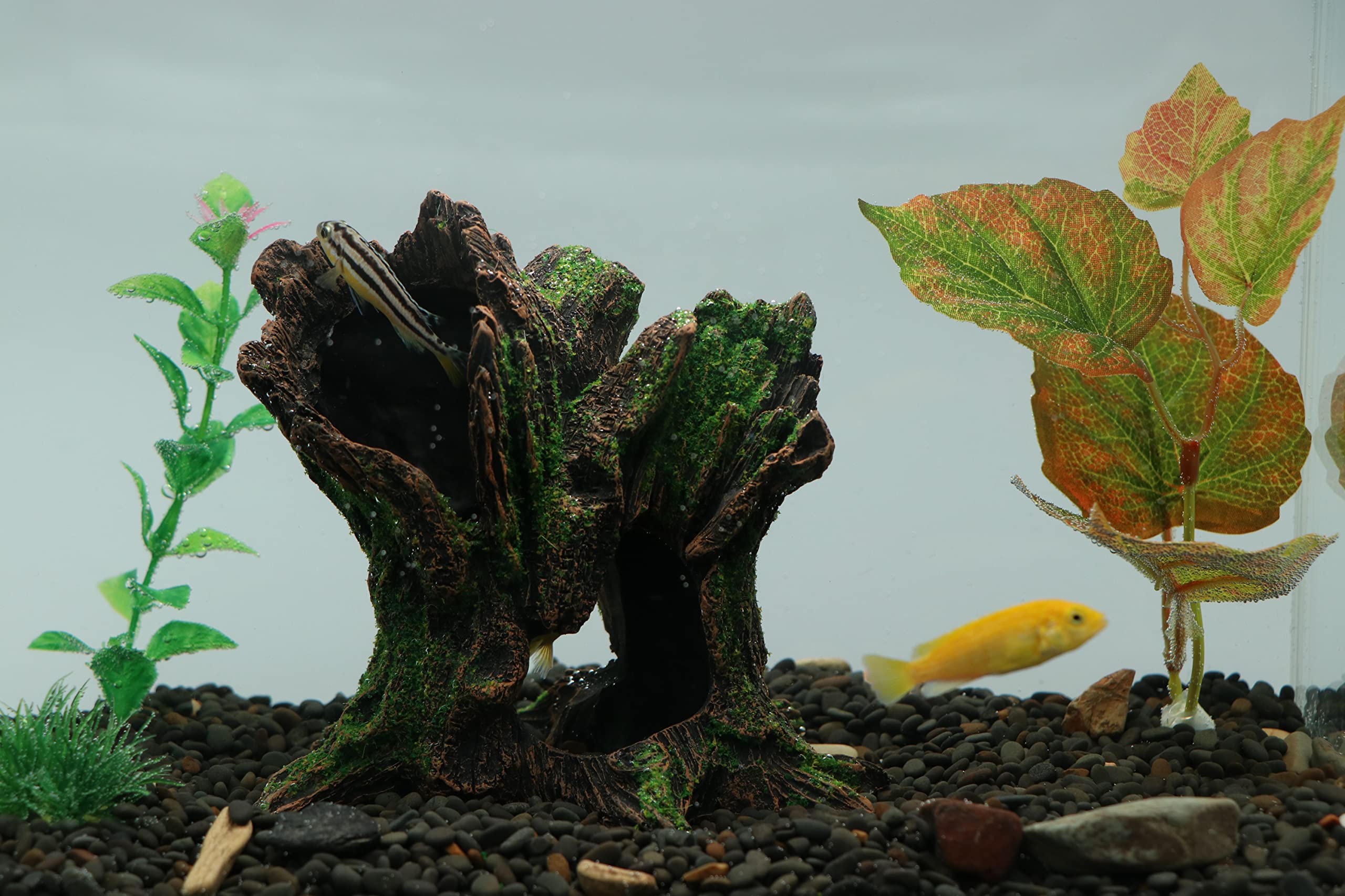 AQUA KT freshwater and marine-safe resin keeps maintenance simple.