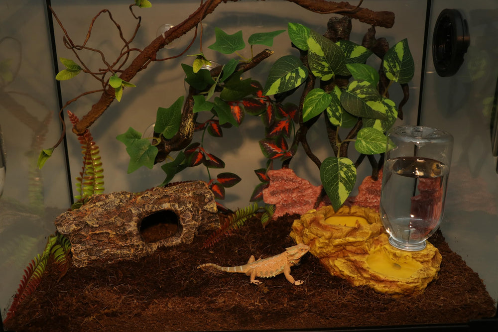 Aqua KT natural rock appearance blends with terrarium decor for lifelike habitat