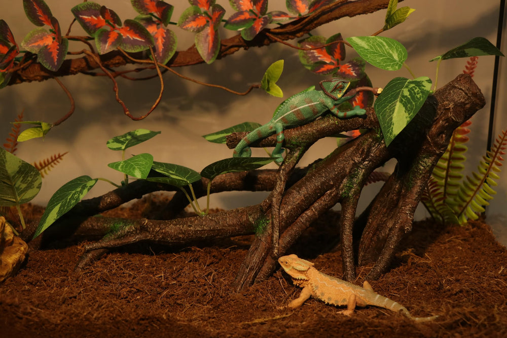 AQUA KT Reptile Branch textured resin close-up demonstrates durable, safe perching.