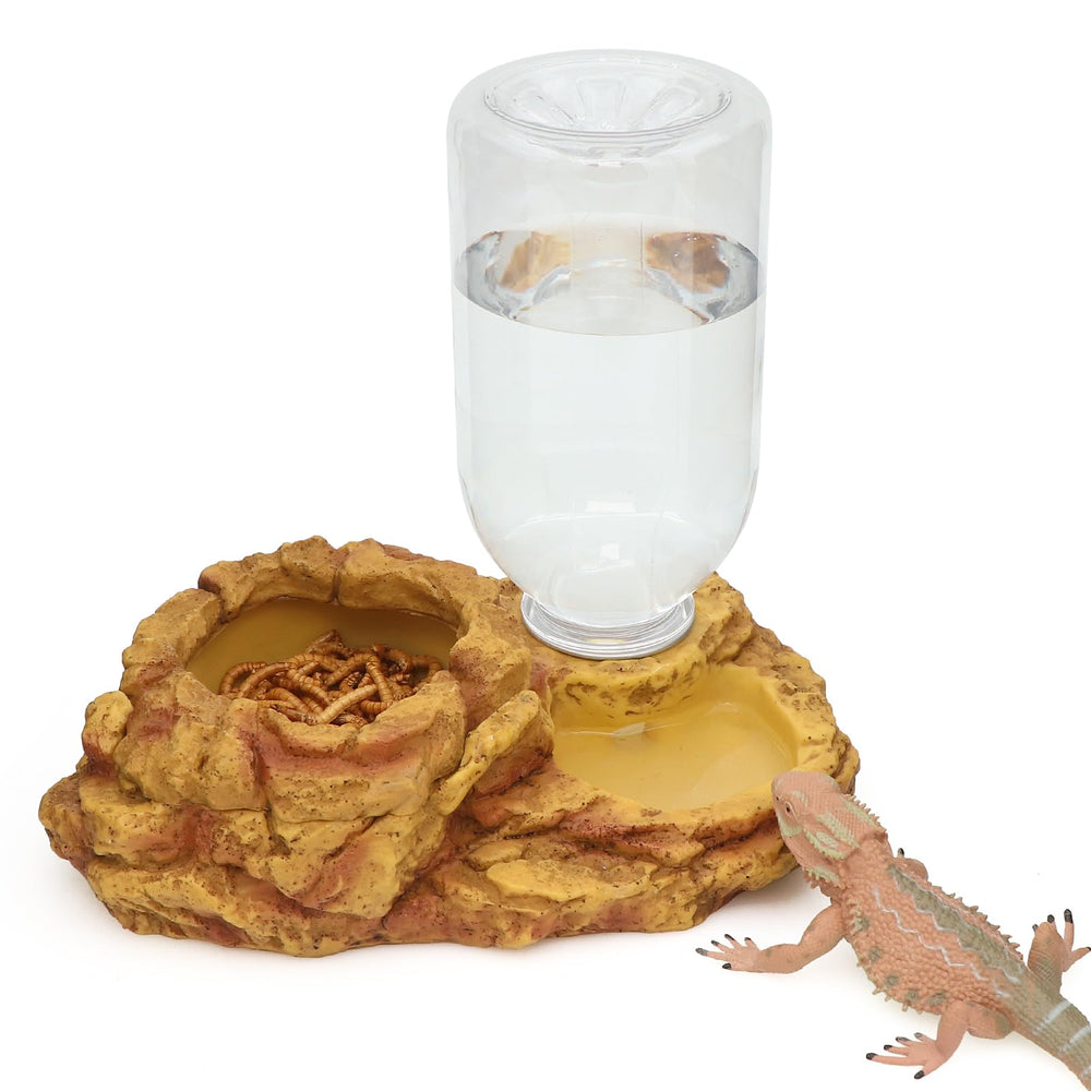 Aqua KT reptile escape bowl close-up showing secure feeding for stress-free meals