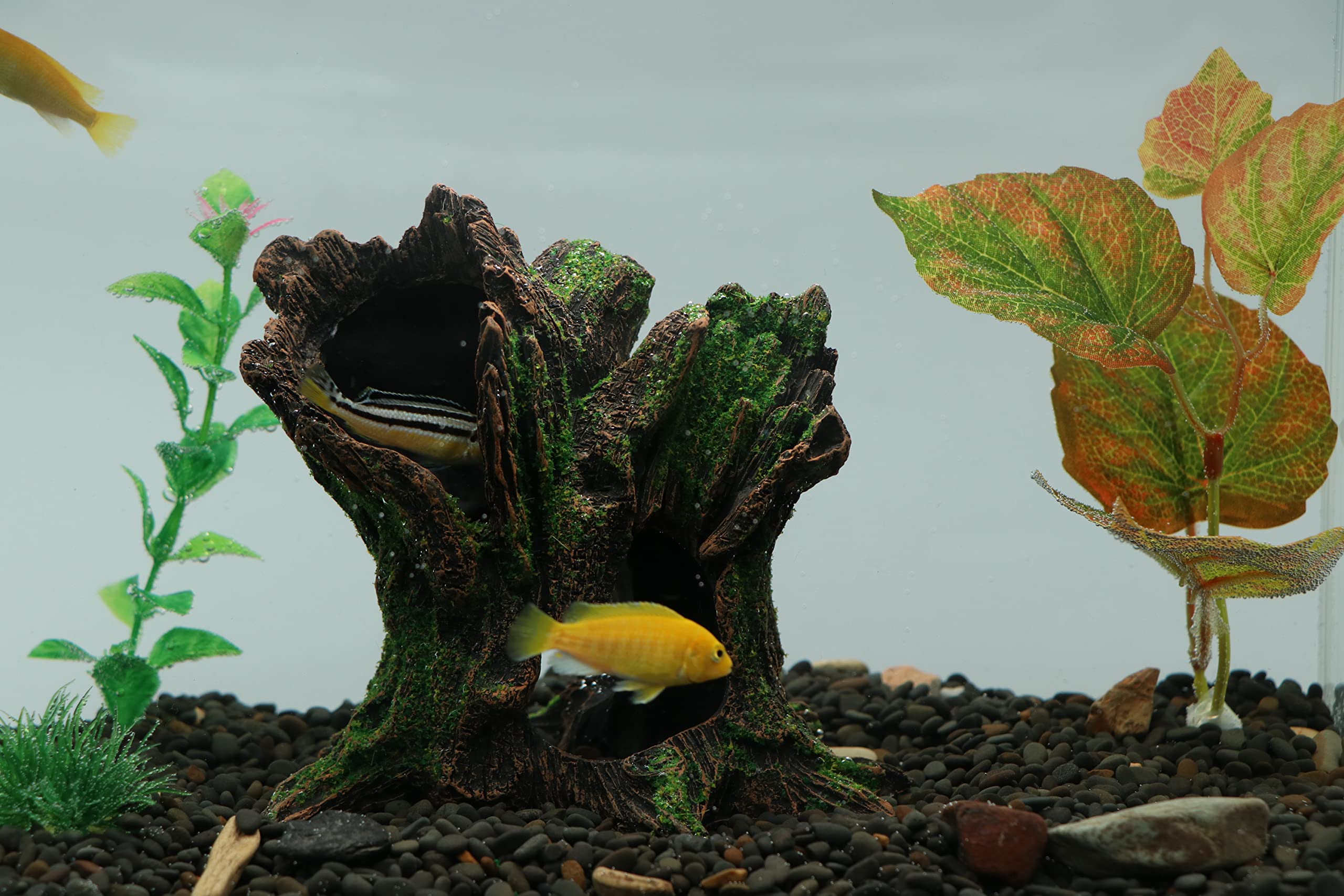 AQUA KT tree trunk texture detail adds realistic aquarium ambiance.
