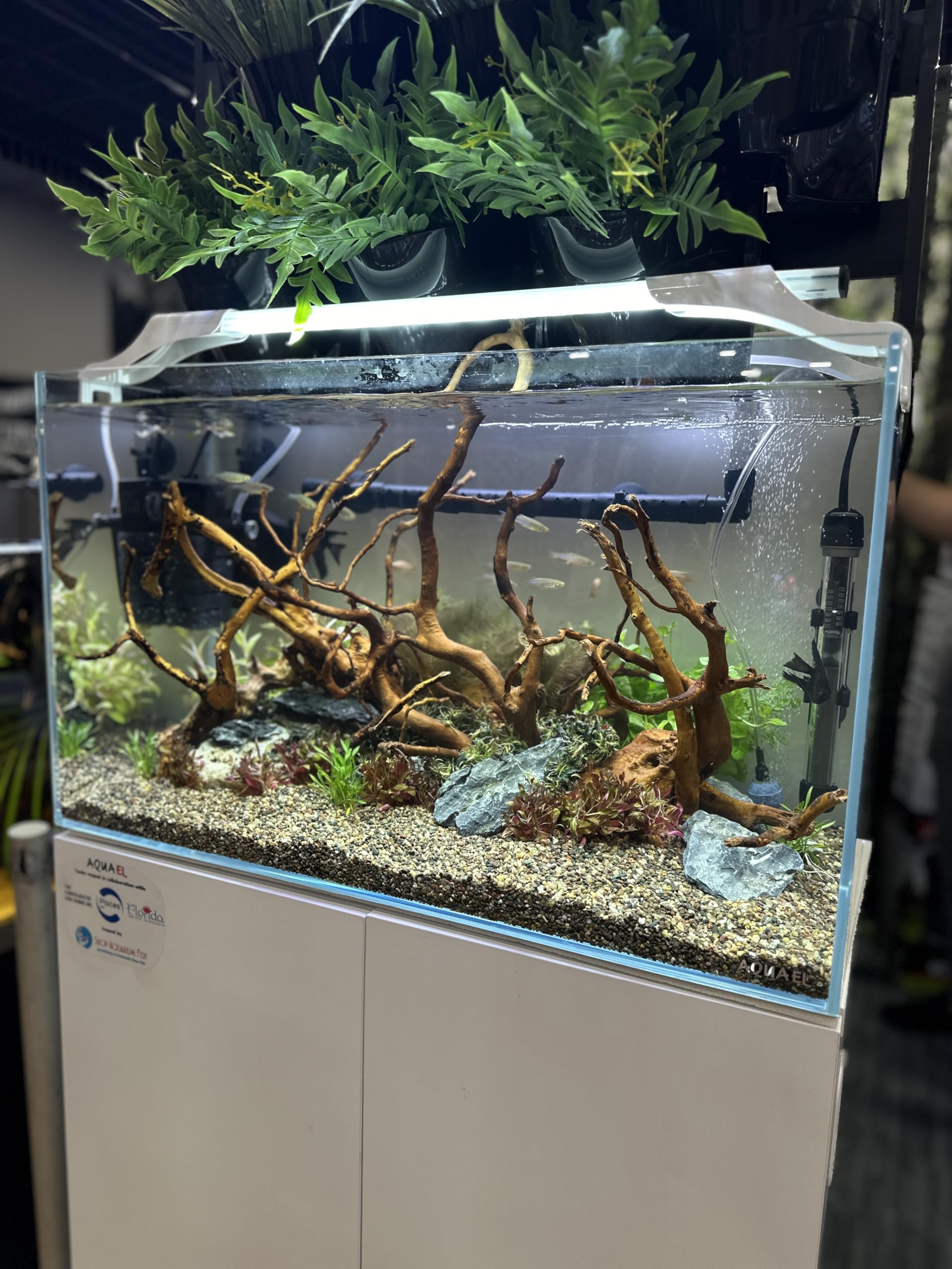 Aqua Natural Midnight Pearl is kiln-dried and toxin-free, ideal for terrariums.