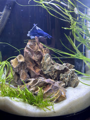 Aqua Natural Sugar White Sand for aquarium setup, enhances plant contrast and creates a natural-looking foreground.