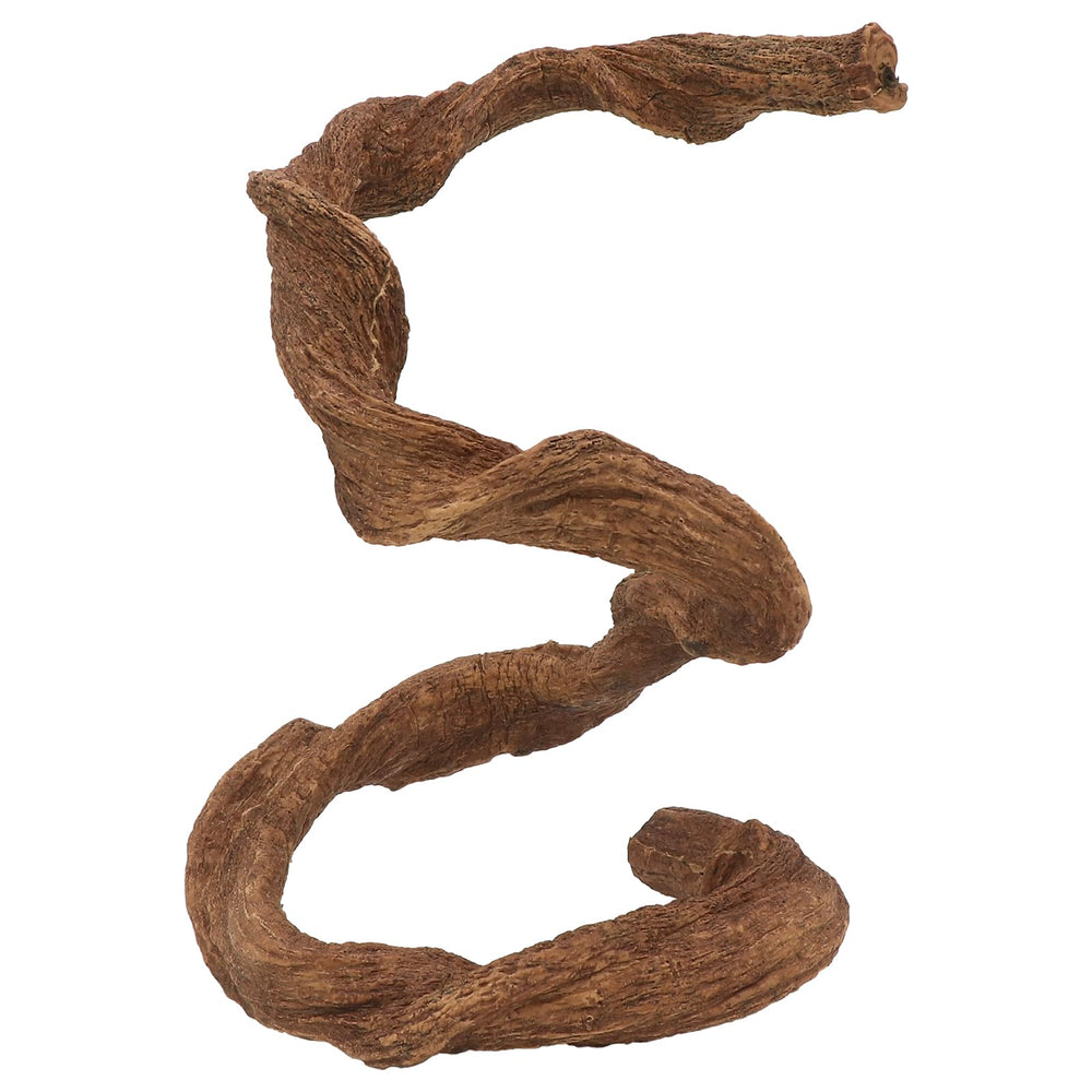 AQUA KT Reptile Twist Climber Vine anti-slip surface supports stable exploration