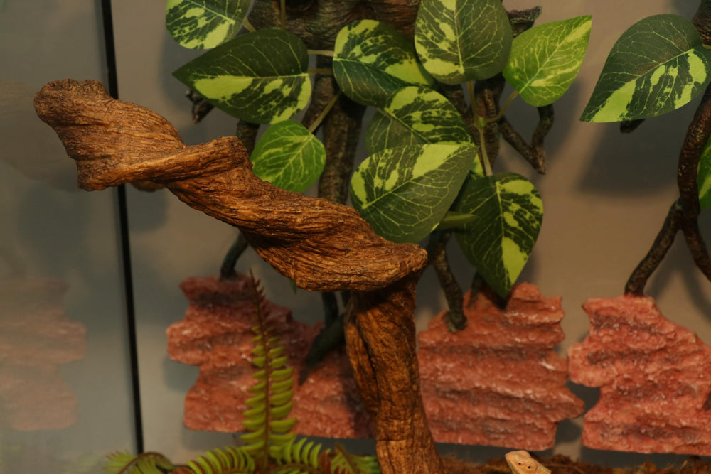 AQUA KT Reptile Twist Climber Vine setup for quick terrarium decoration