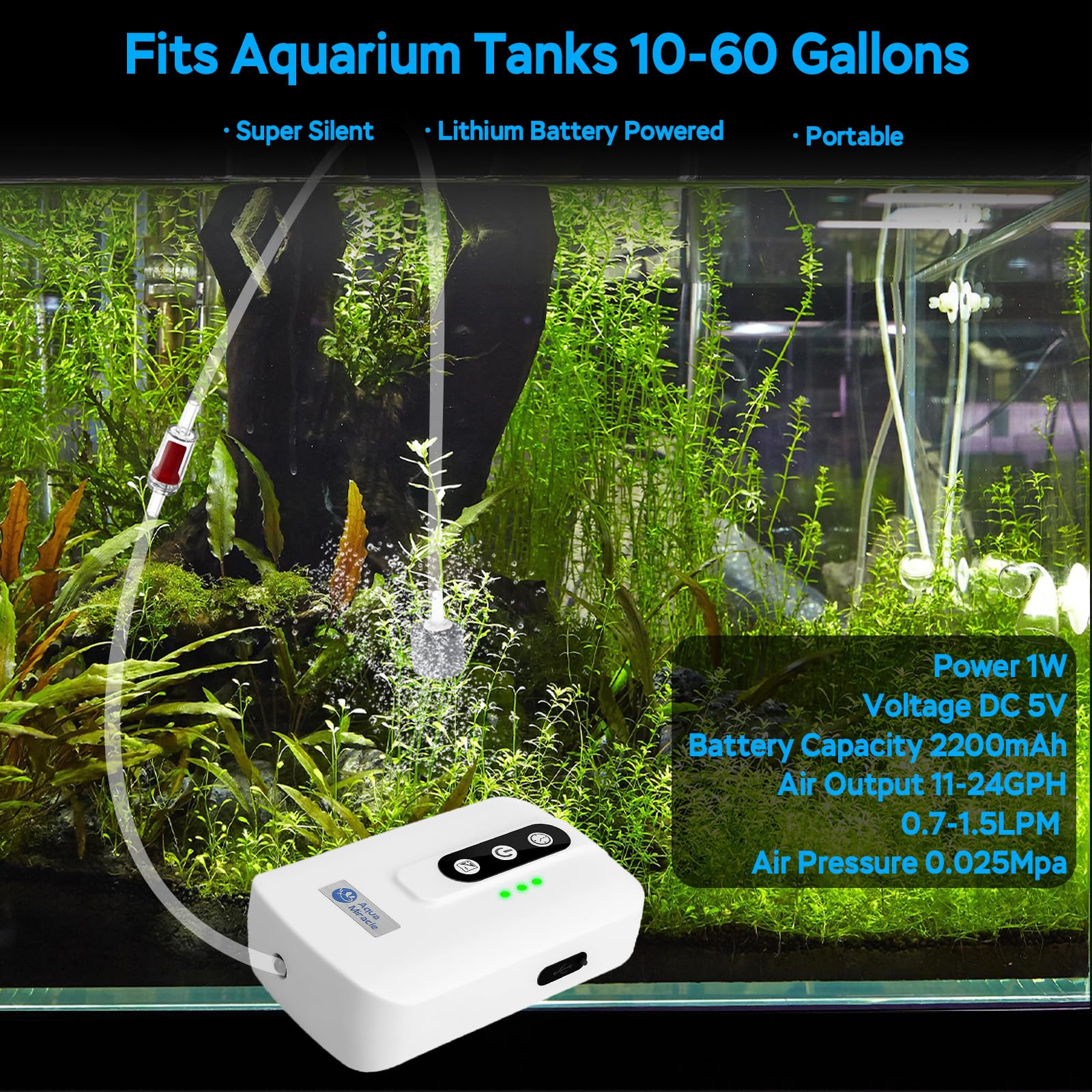 A AquaMiracle air pump connected to a 60-gallon aquarium setup demonstrating steady aeration.