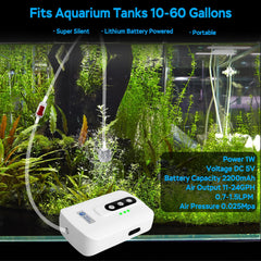 A AquaMiracle air pump connected to a 60-gallon aquarium setup demonstrating steady aeration.