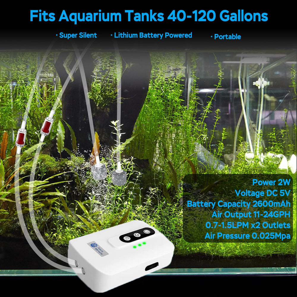 AquaMiracle dual-outlet bubbler provides adjustable flow for vibrant bubbles in 40–120 gallon tanks