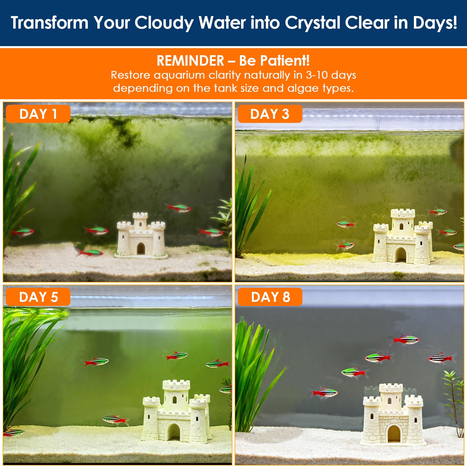 AquaMiracle filter sponge trapping debris for pristine tank glass.