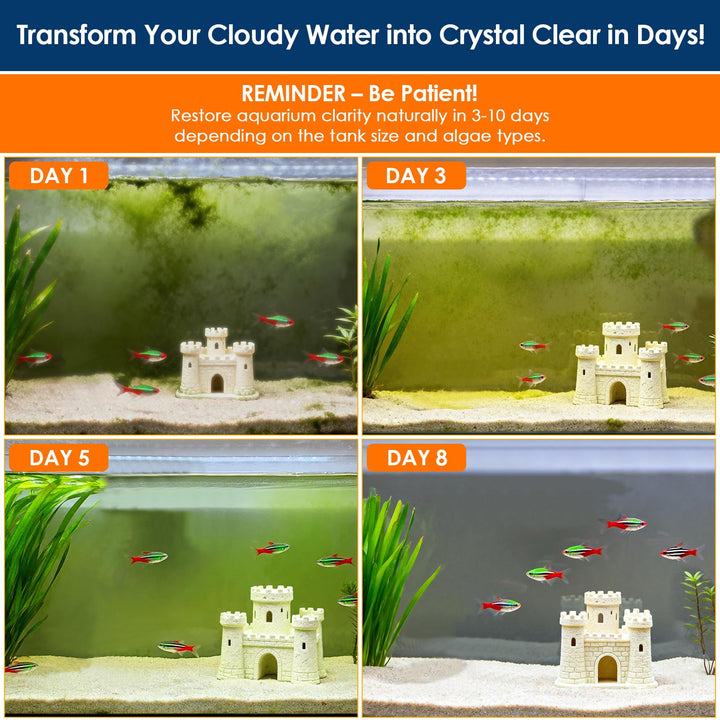 AquaMiracle filter sponge trapping debris for pristine tank glass.