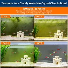 AquaMiracle filter sponge trapping debris for pristine tank glass.