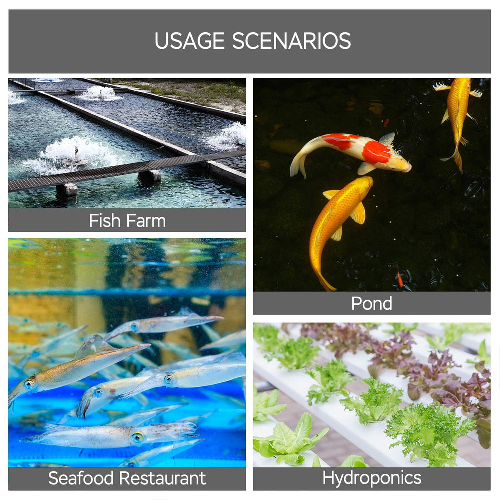 AquaMiracle reliable oxygenation for ponds and fish tanks.