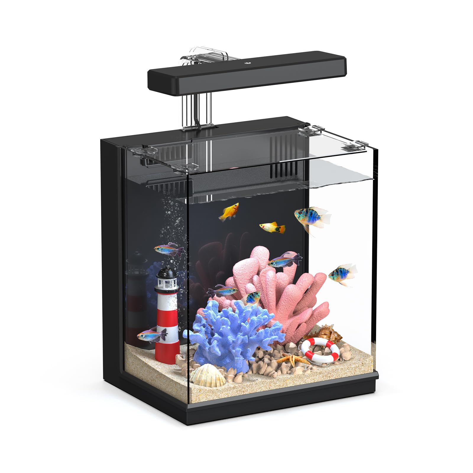 AQUASMITH Beta Tank 2gal front view ideal for compact betta setups
