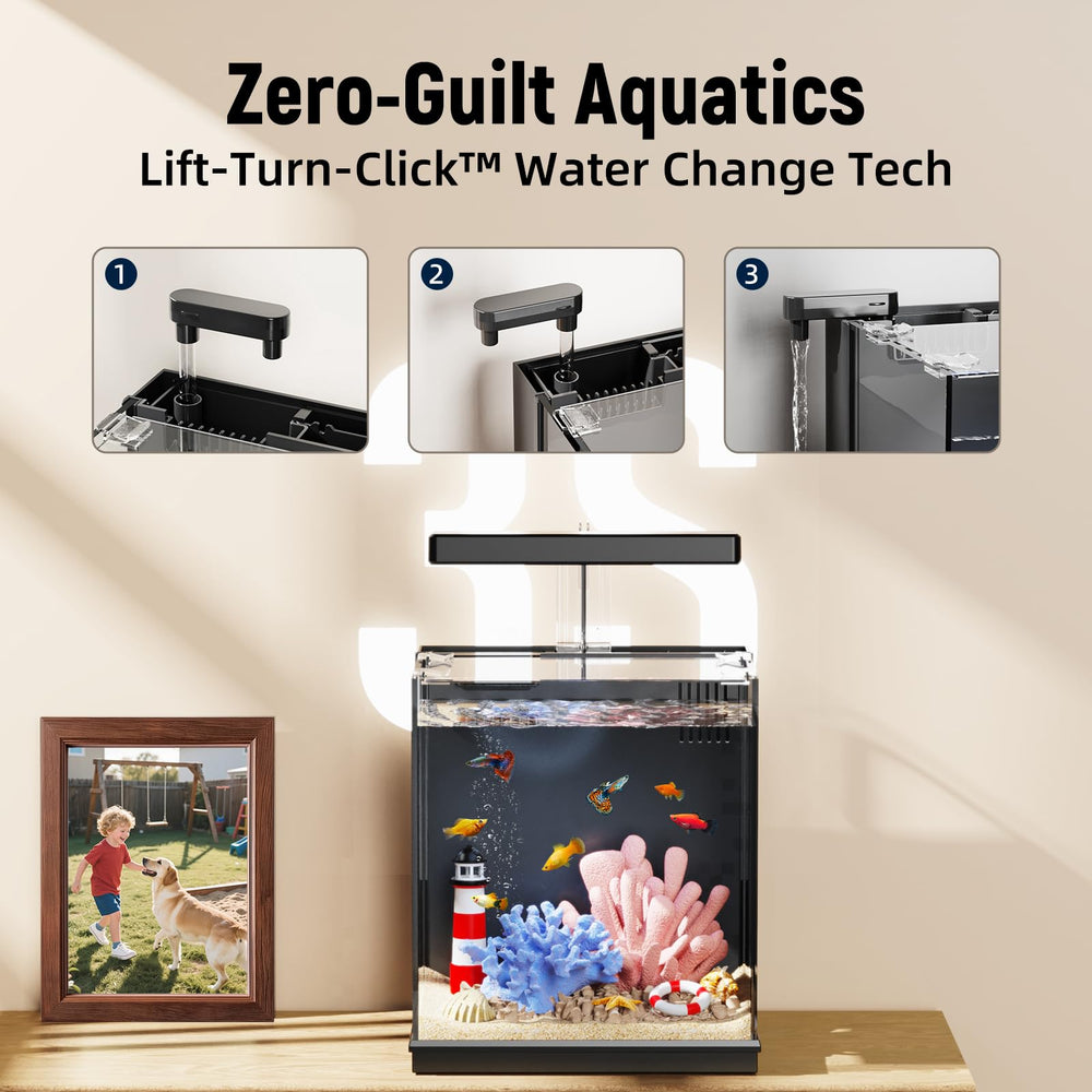 AQUASMITH Beta Tank LED light on highlighting vibrant betta colors