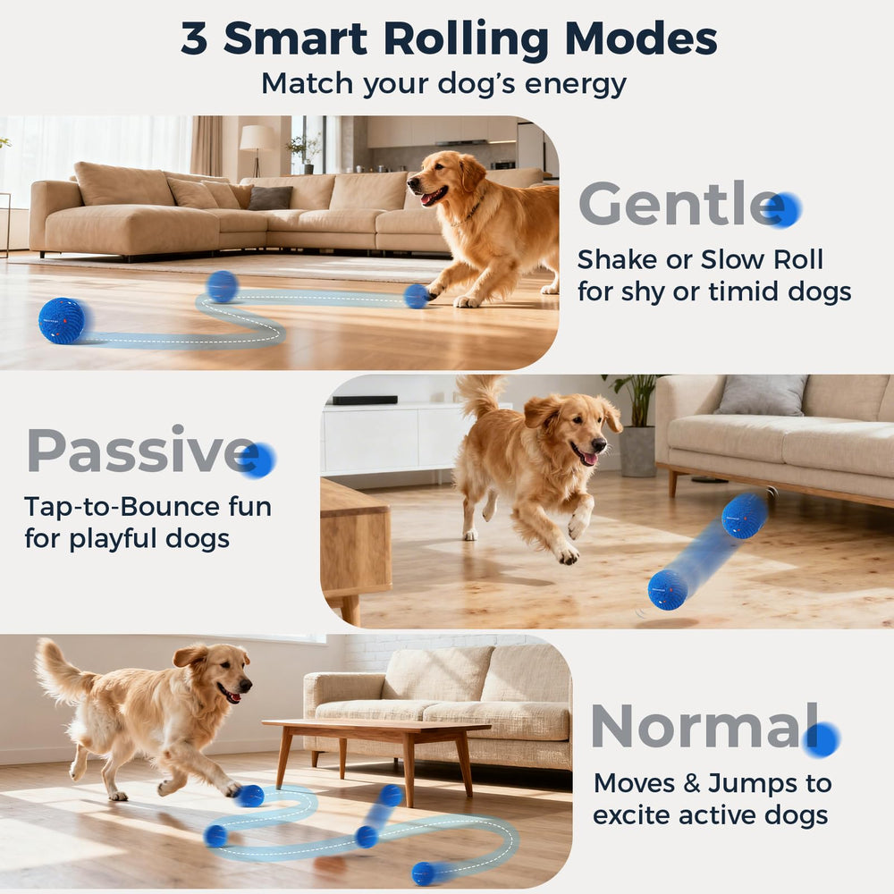 Aquamorph blue and orange balls ready for shared play among two dogs