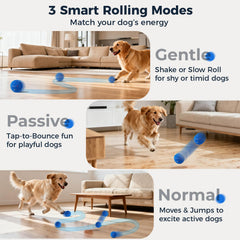 Aquamorph blue and orange balls ready for shared play among two dogs