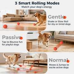 Blue Aquamorph ball with grid pattern designed to grab dogs' attention and roll