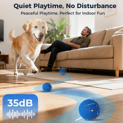 Aquamorph interactive ball rolling in motion mode for indoors