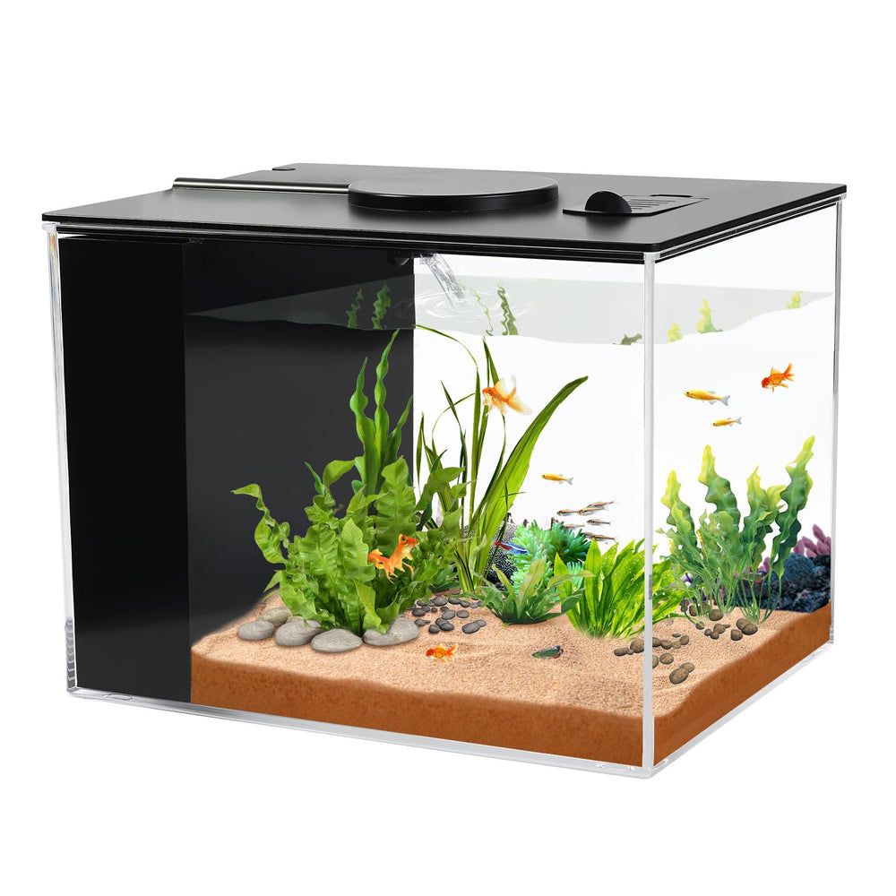 AQUANEAT 1-gallon fish tank setup for small spaces, ideal for beginners.