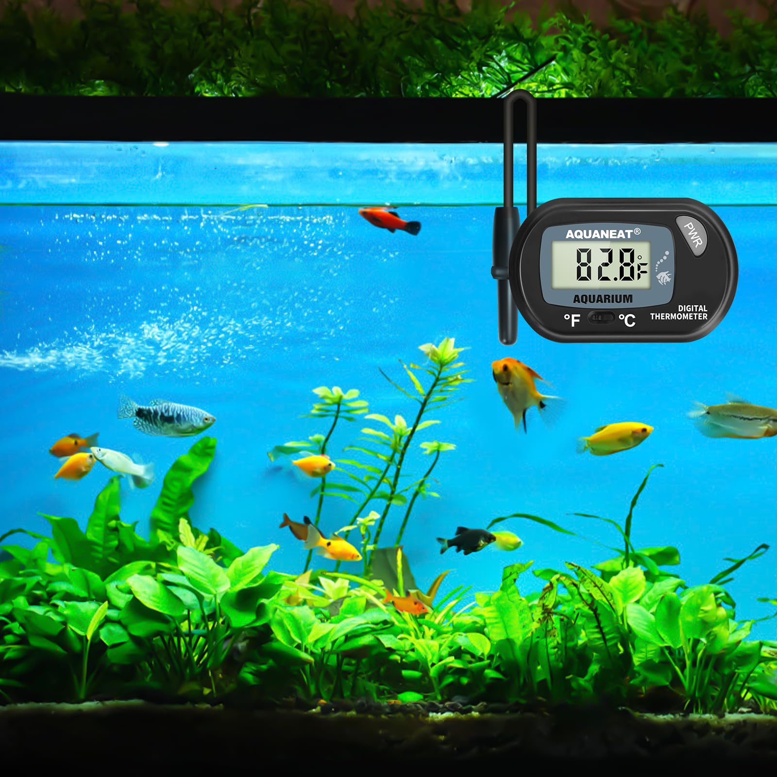 AQUANEAT thermometer with digital readout provides at-a-glance temperature