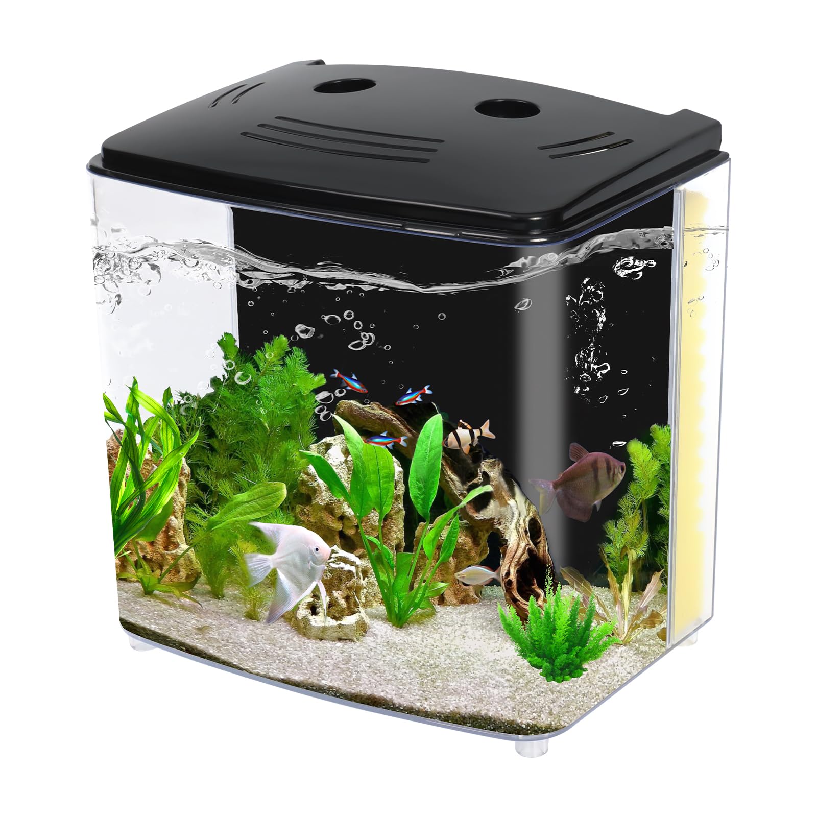 AQUANEAT 1.2-gallon fish tank with LED light highlighting vibrant colors