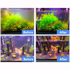 AQUANEAT green water treatment in action for a clearer aquarium.