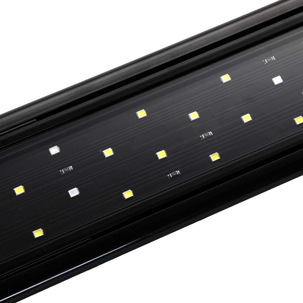 AQUANEAT LED light mounted above a thriving freshwater setup for even coverage.