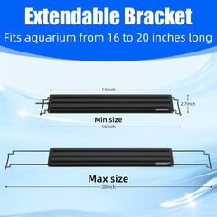AQUANEAT daylight mode illuminating freshwater plants and vibrant fish colors