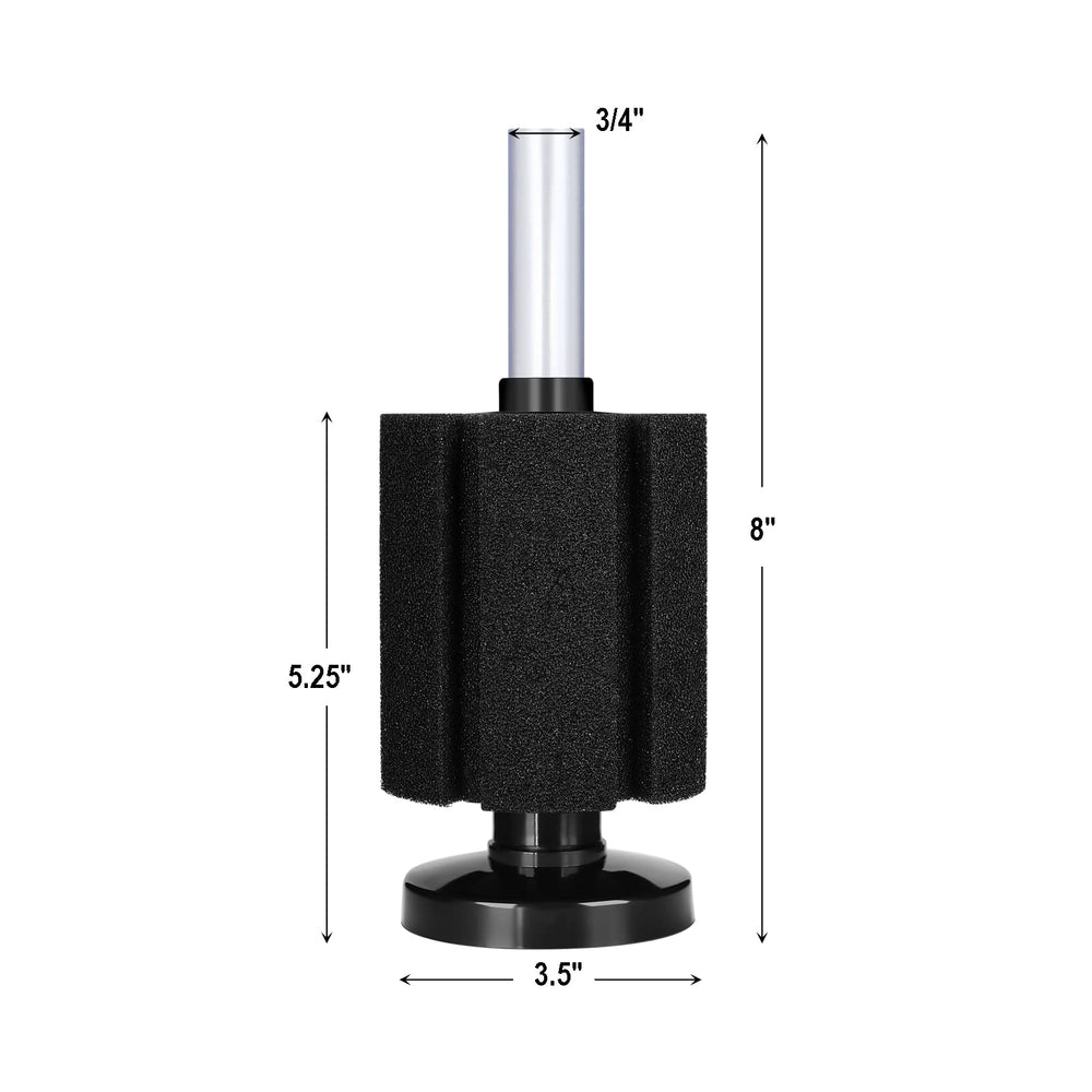 AQUANEAT four-pack sponge filters arranged in a nano tank layout.