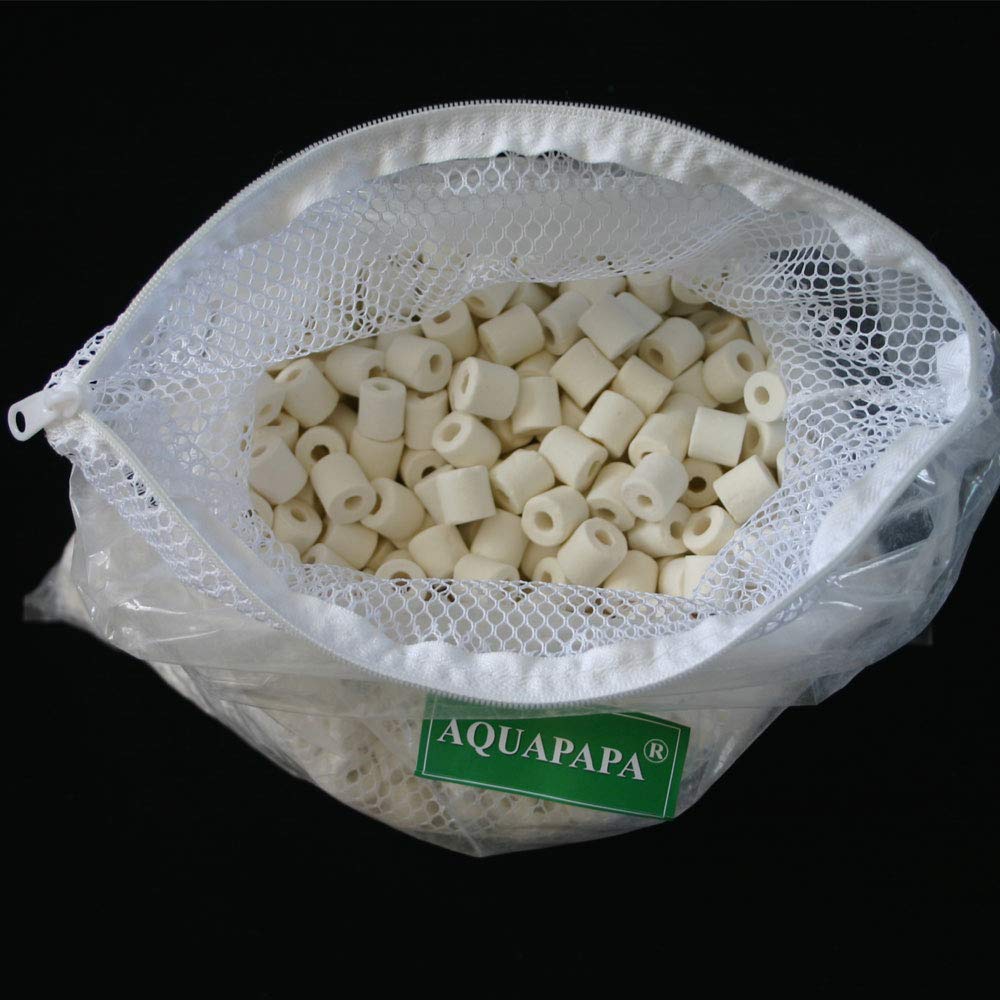 Aquapapa AQUACITY koi pond setup benefits from efficient bio filtration.