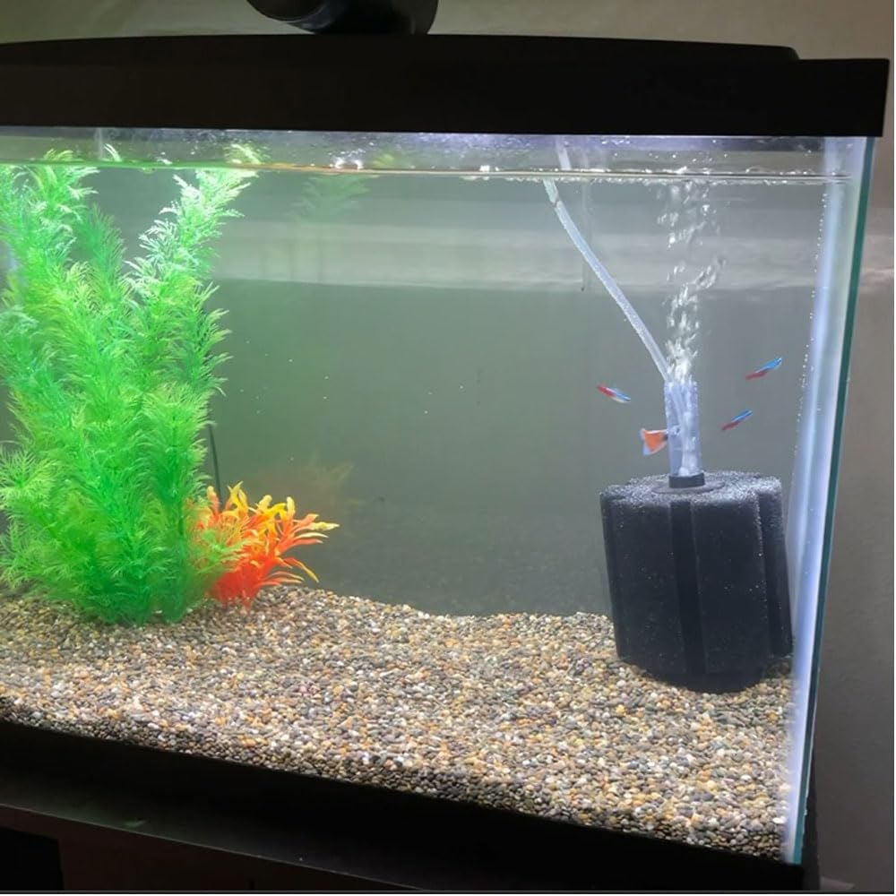 Aquapapa Bio Sponge Filter with airline tubing and valve for setup.