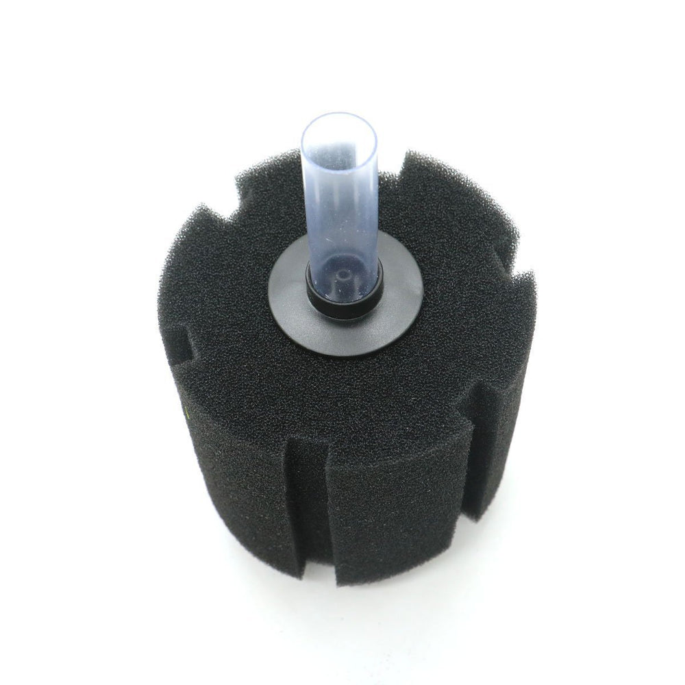 Aquapapa Bio Sponge Filter ideal as breeding or secondary filtration.