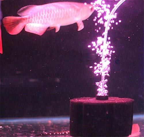 Aquapapa Bio Sponge Filter measures 4.5 by 8 inches, promotes gas exchange.