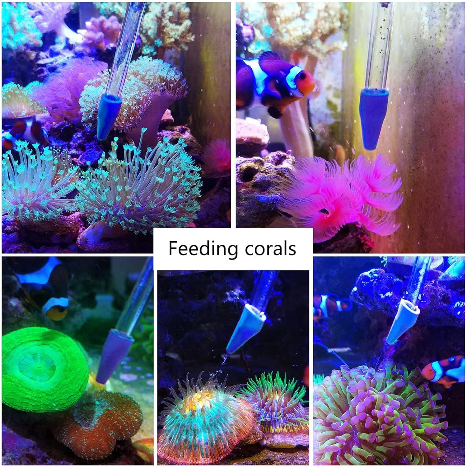 Aquarium Choice 18.3-inch coral feeder for delicate feeding.
