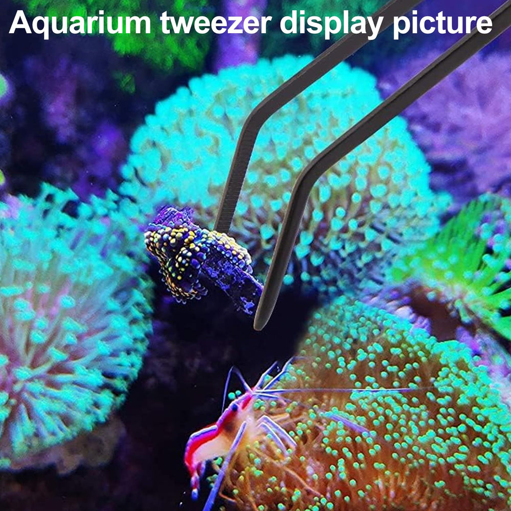 Aquarium Choice 26-inch coral feeder for larger targets.