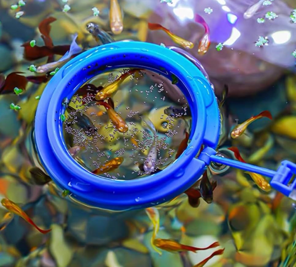 Aquarium Choice 2.95-inch feeding ring for controlled releases.