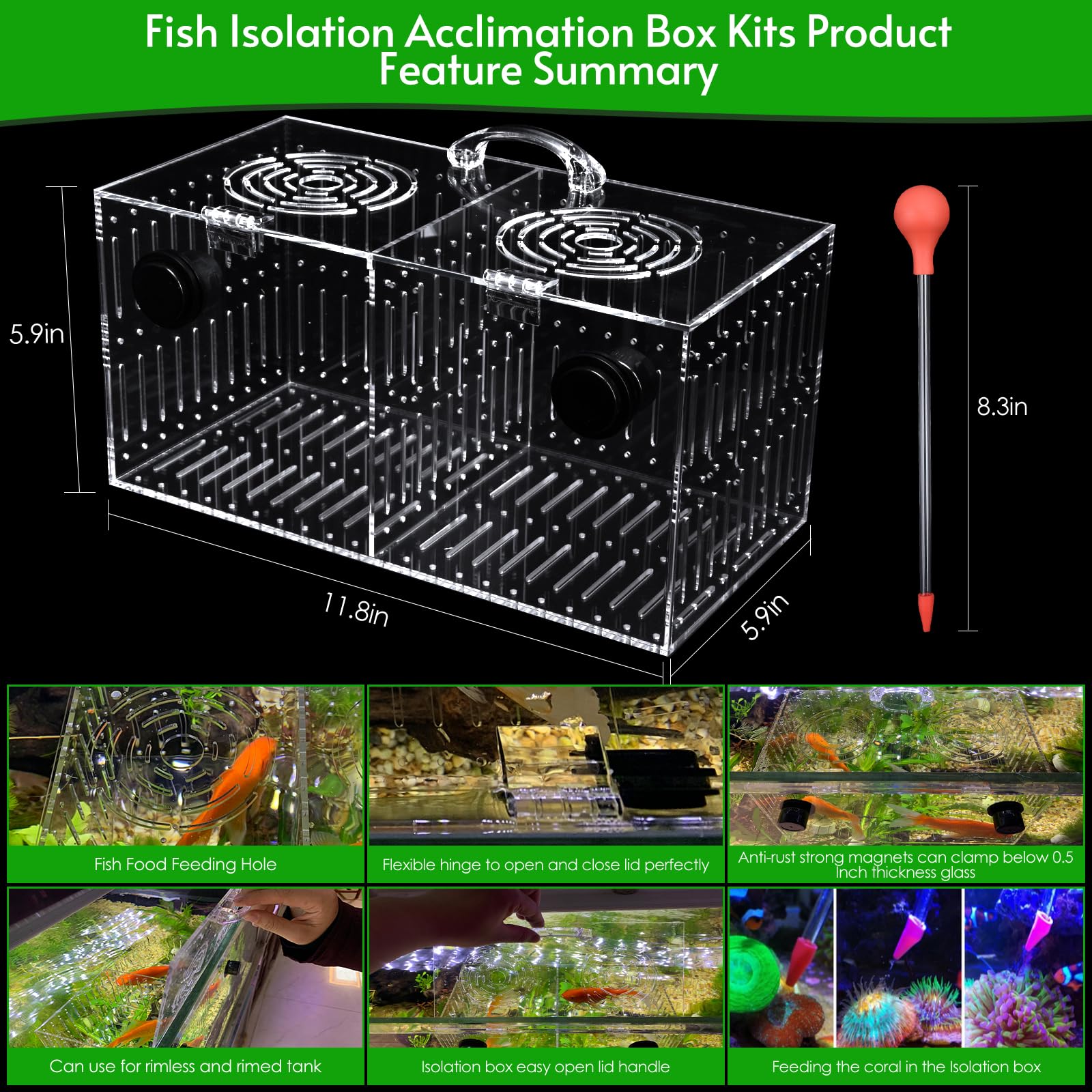  Removable isolation divider plate for flexible tank isolation options