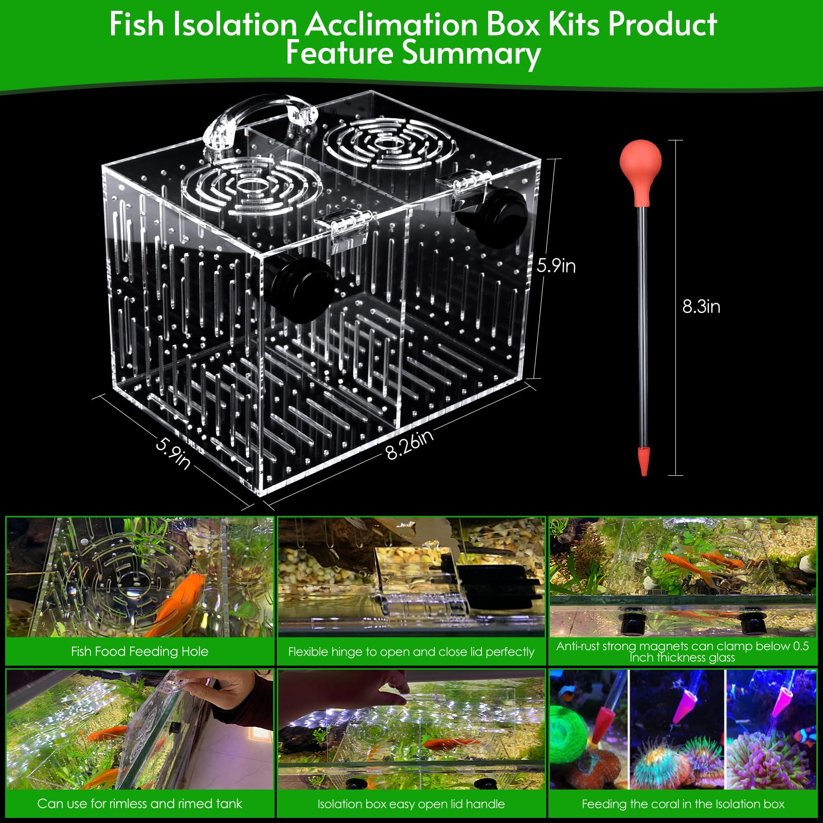 Box with 2.5 mm water-flow slits promoting balanced circulation around inhabitants.