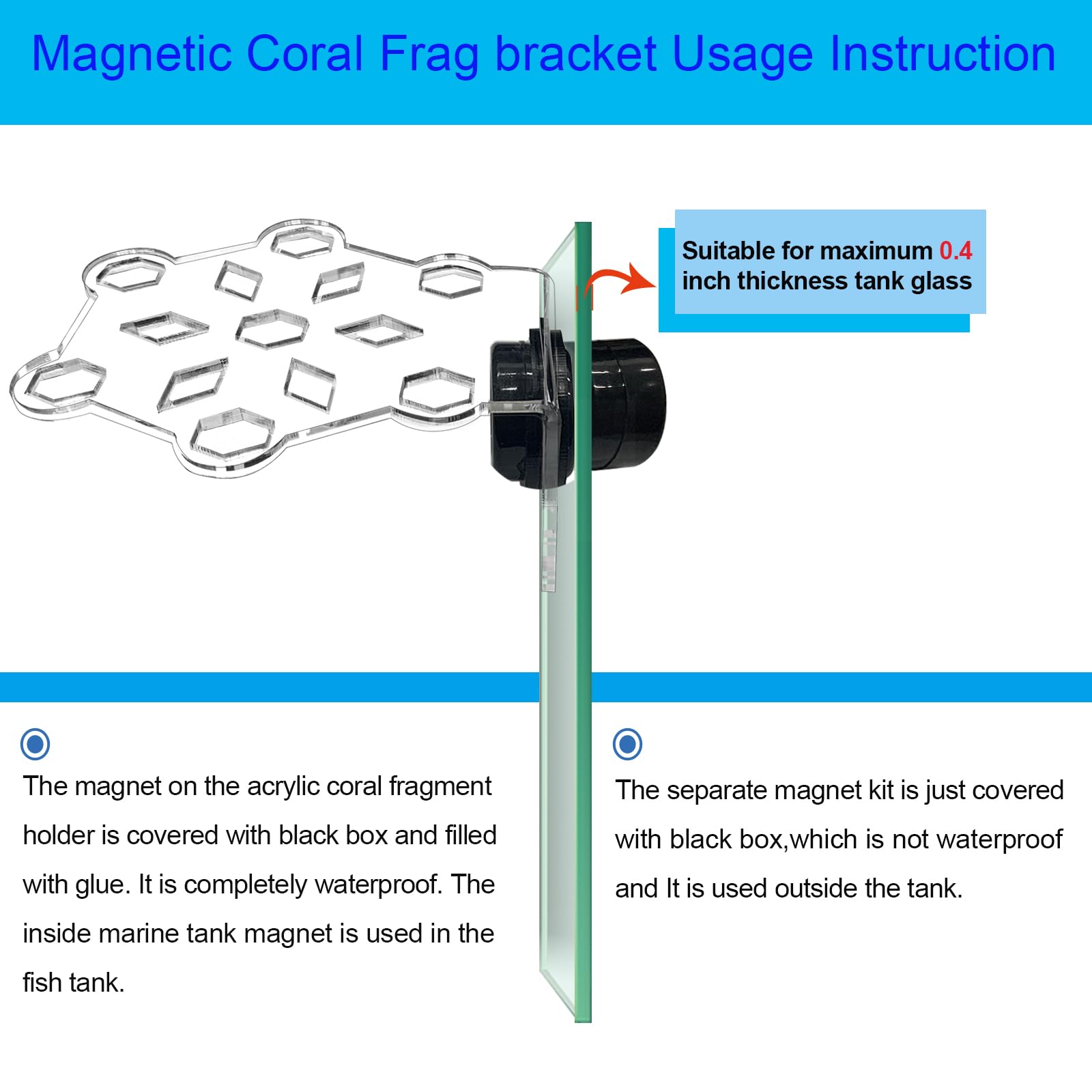 Aquarium Choice magnetic coral frag rack system provides stable frag placement during maintenance.