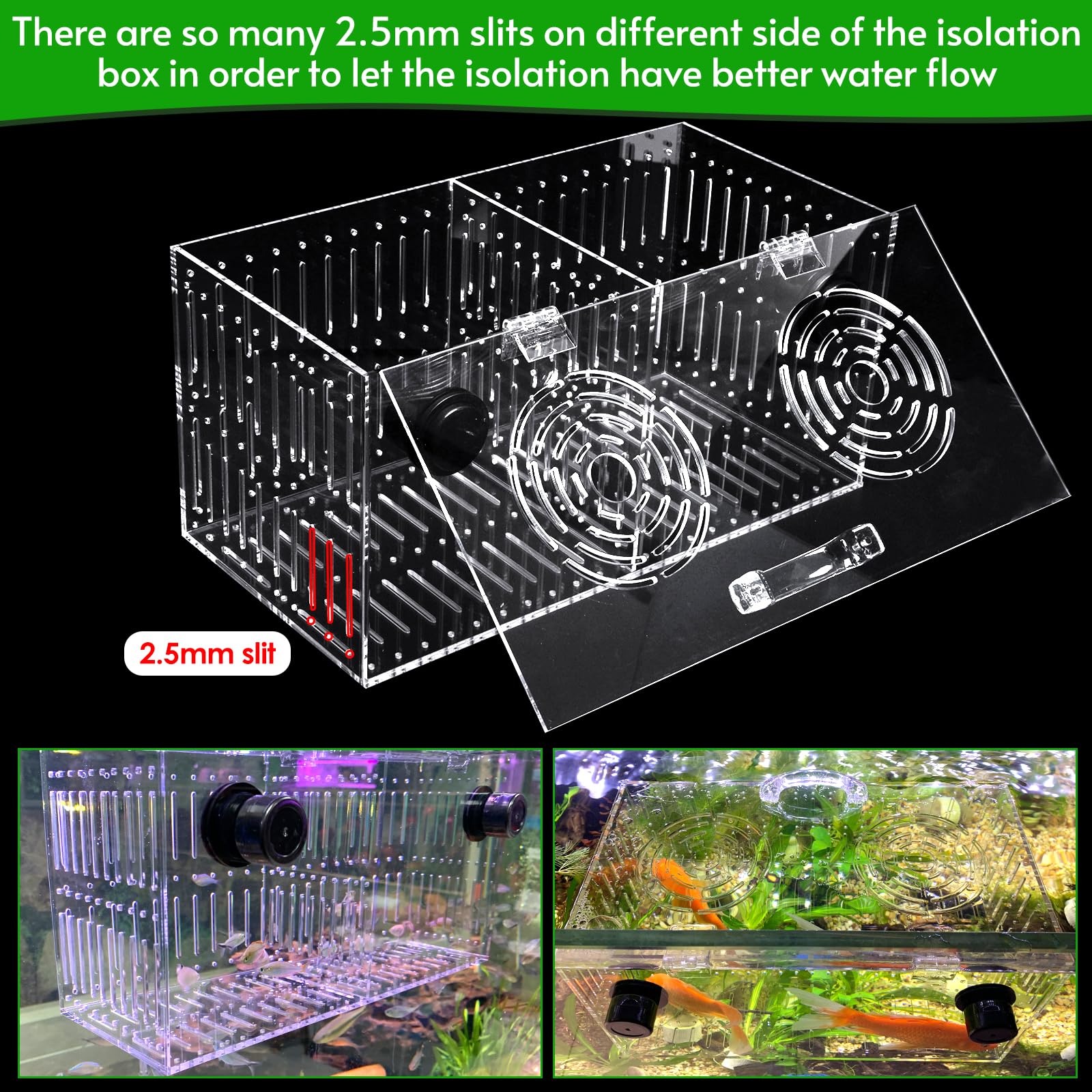  Top feeding holes and lid handles designed for rimed or rimless tanks