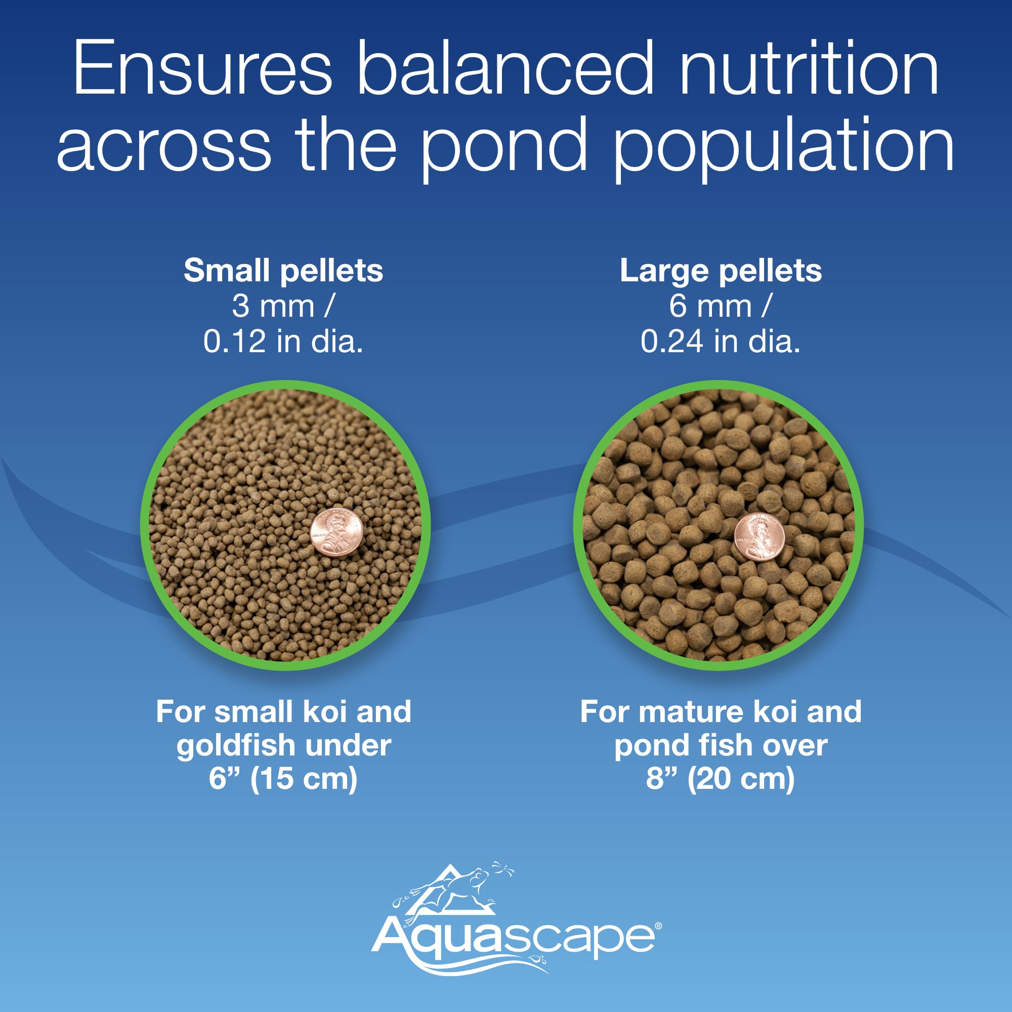 Aquascape probiotic pellets support digestion and cleaner pond water.