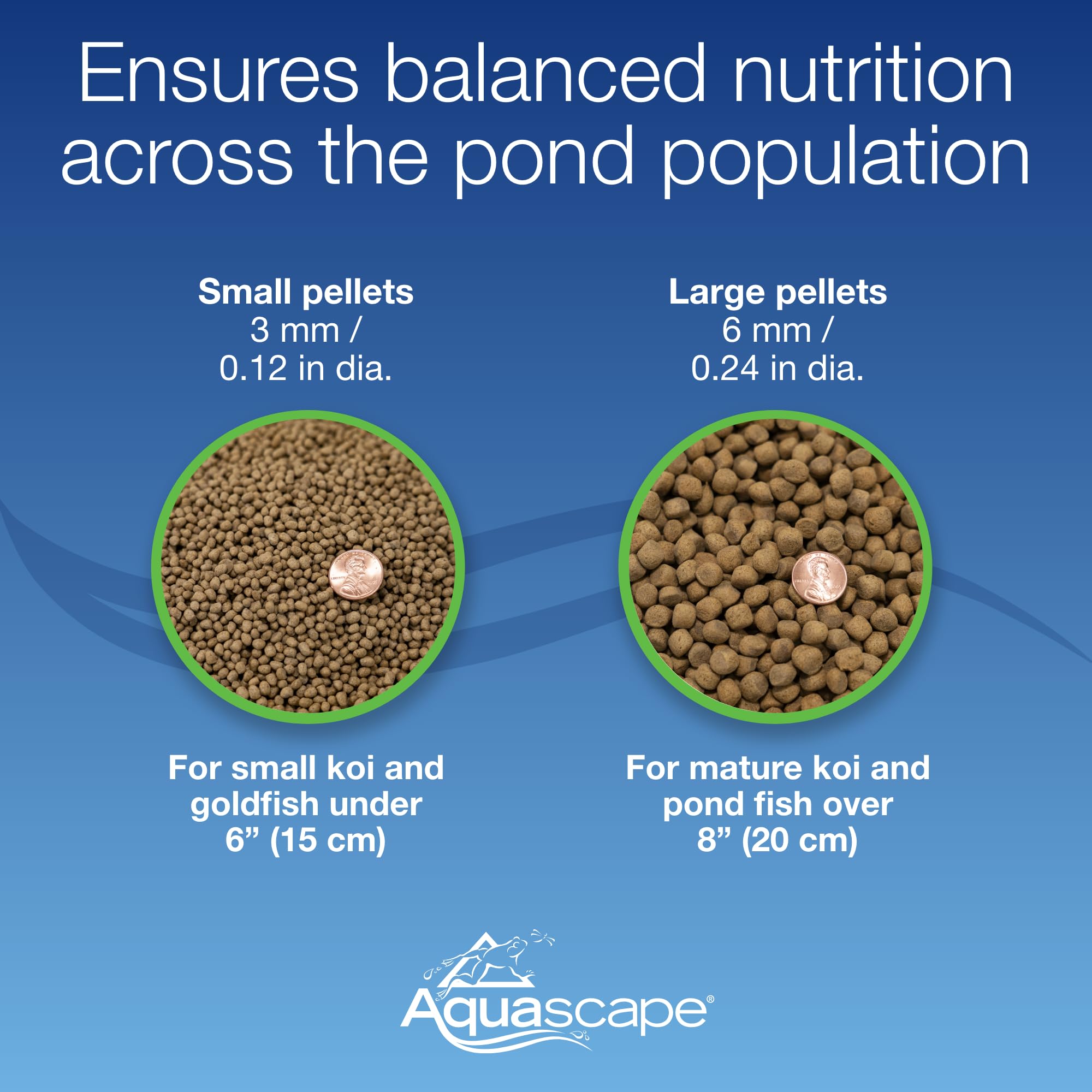 Pellets sized for small to medium koi and goldfish (1–10 inches).