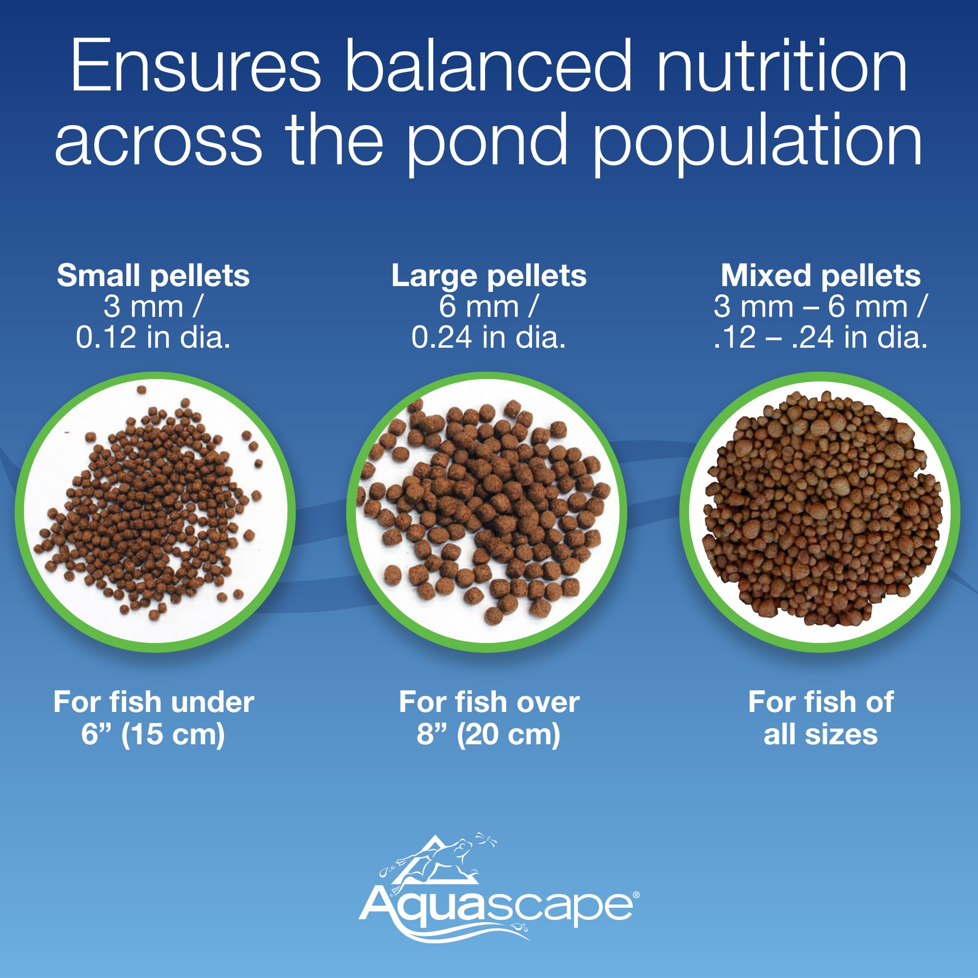 Aquascape Premium Staple Pellets pond-fish image shows koi and goldfish enjoying balanced nutrition