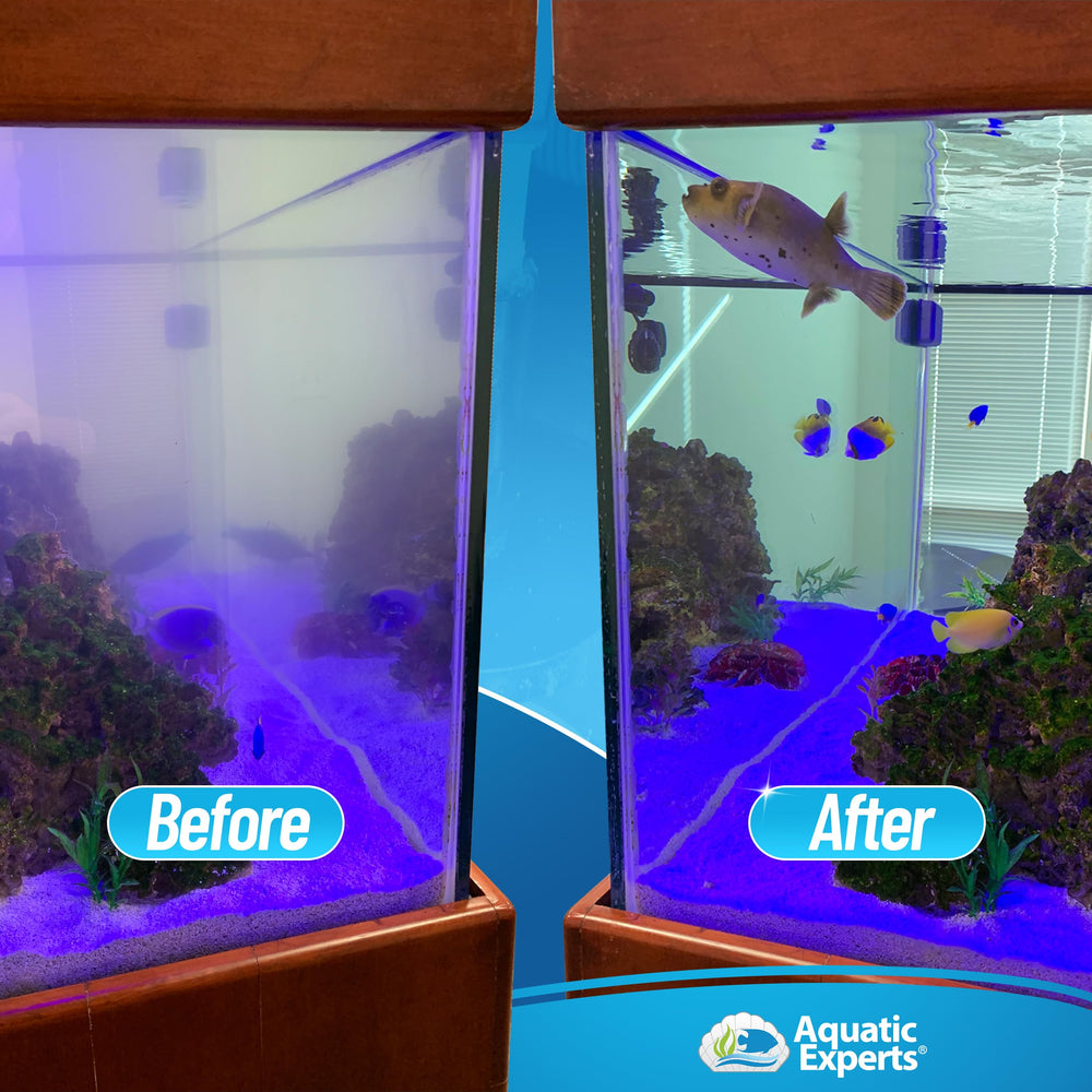 Aquatic Experts ring-style socks fit standard filter cups for reliable sump filtration.