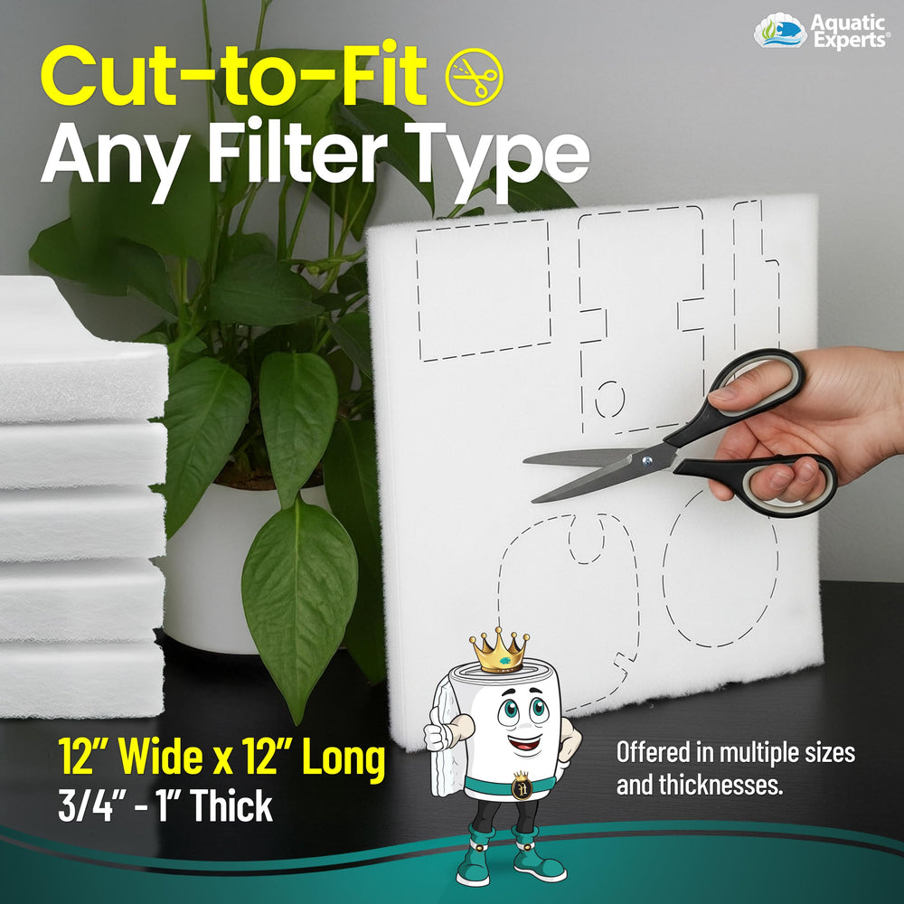Aquatic Experts FilterFirst pad improving water clarity in a tank with filtration.