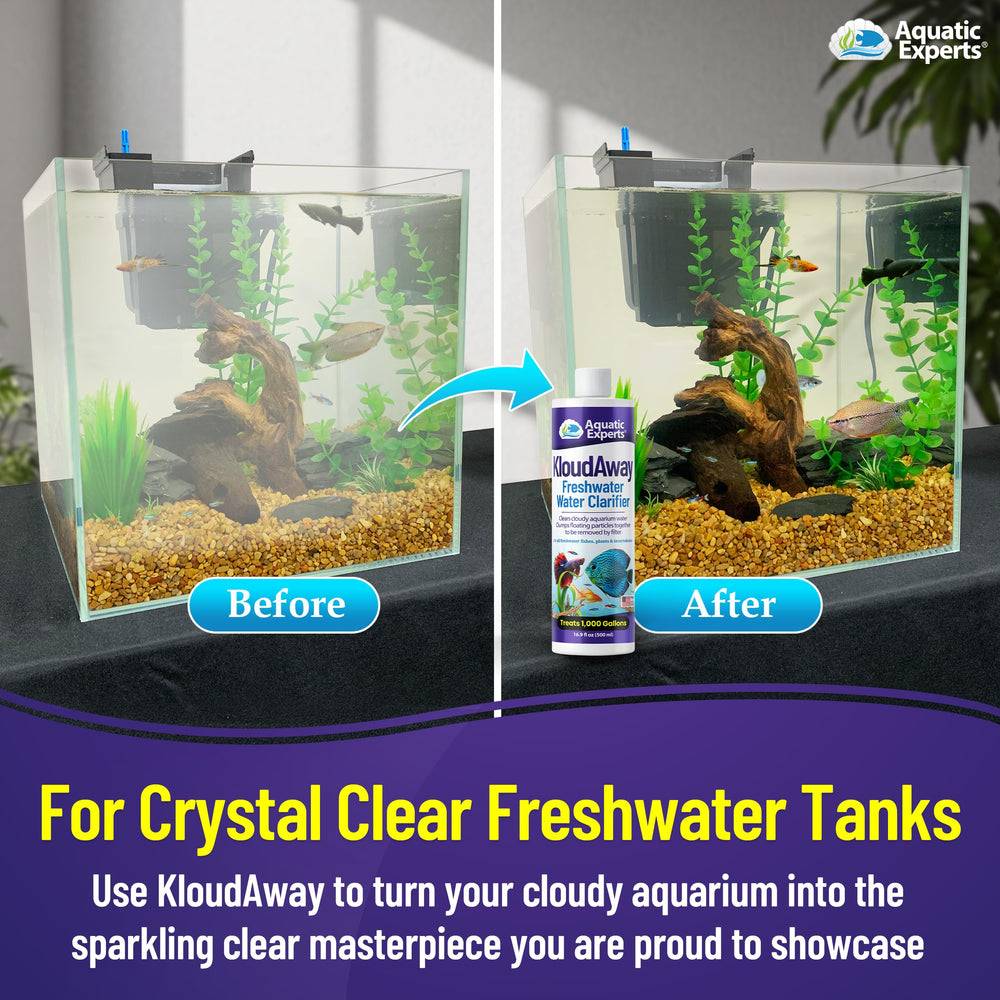 Aquatic Experts KloudAway clear water after demonstrates crystal-clear tank.