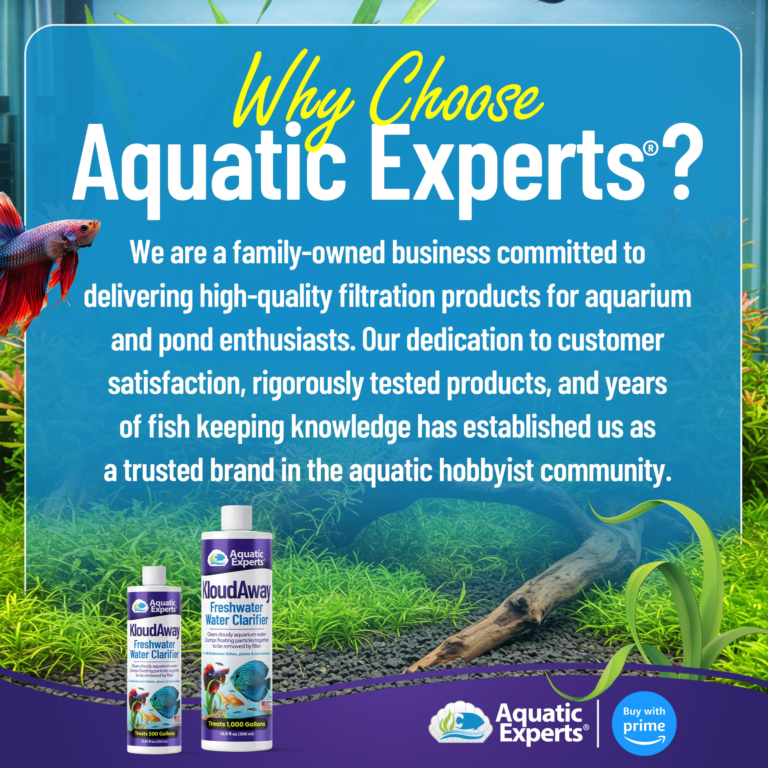 Aquatic Experts KloudAway clear water after with thriving fish.