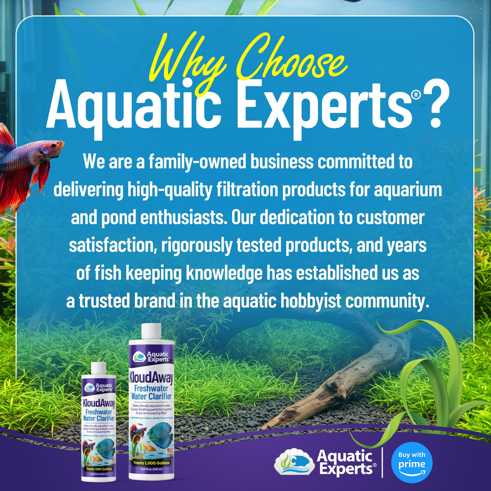 Aquatic Experts KloudAway clear water after with thriving fish.