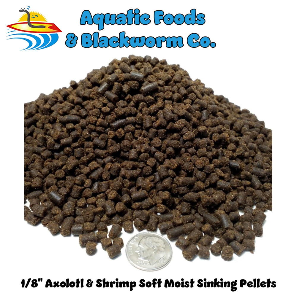 Aquatic Foods Inc. Axolotl pellets on feeding dish demonstrating portion-size and ready-to-feed convenience.